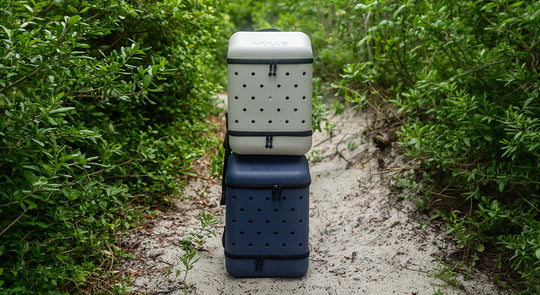 deal banner image_10